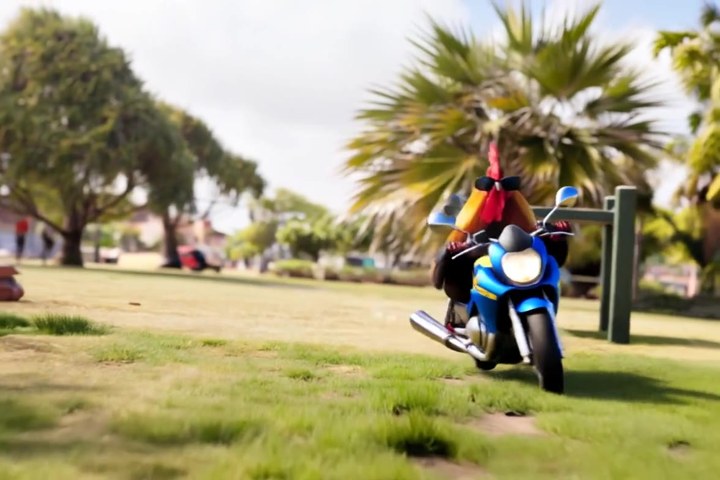 Pet Moto Rider
